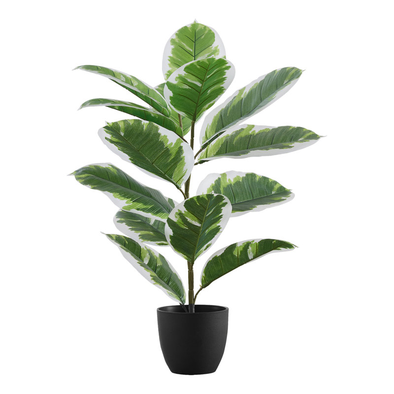 27" Tall Green and White Faux Rubber Plant in Black Pot