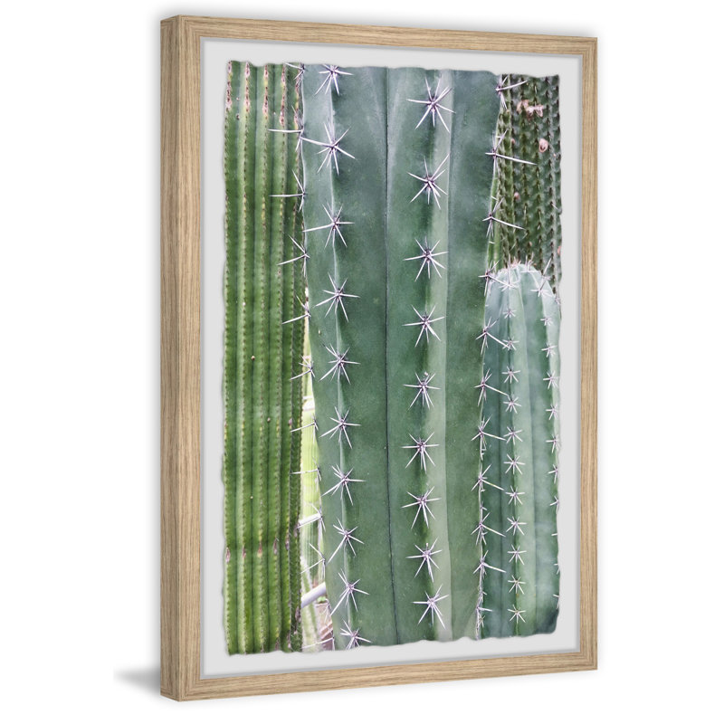 Cactus Prickles - Single Picture Frame Painting, 61 cm H x 41 cm W