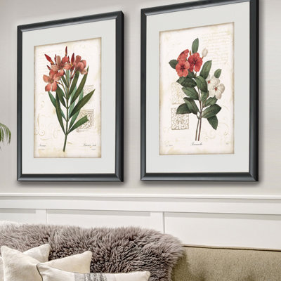 Laurier " Laurier Rose " 2 - Pieces