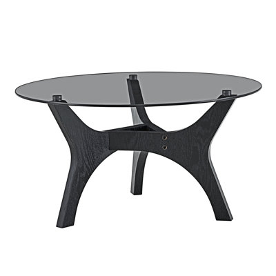 Coffee Table Side Table with Glass Top