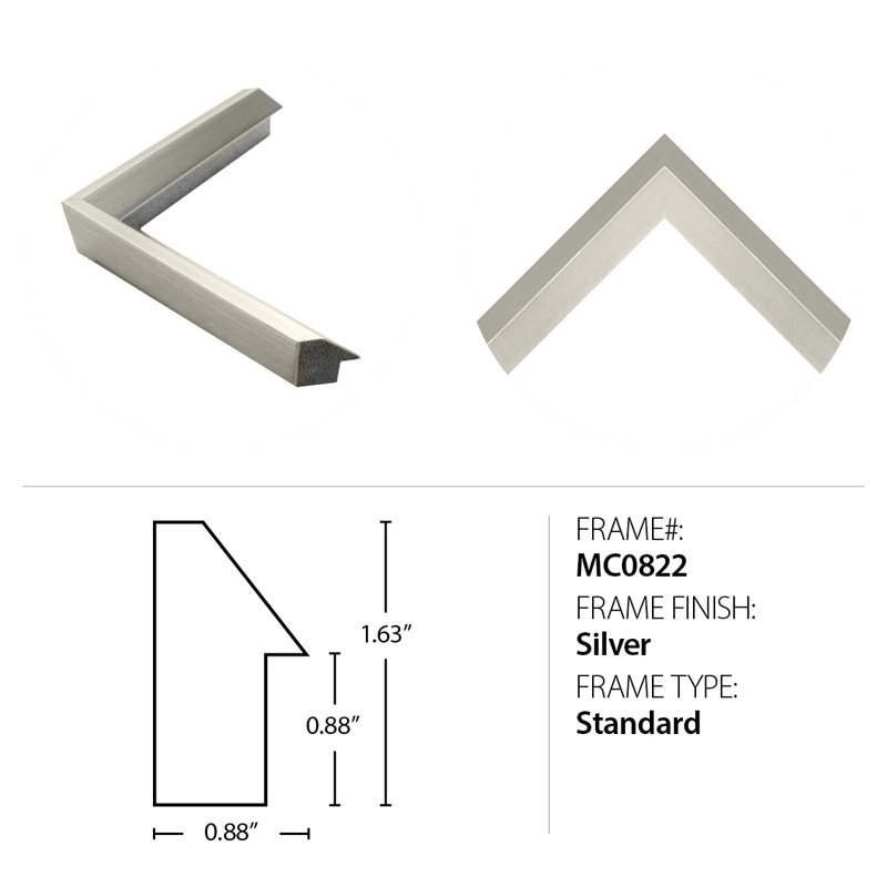 Daylight Reflection 1 Print