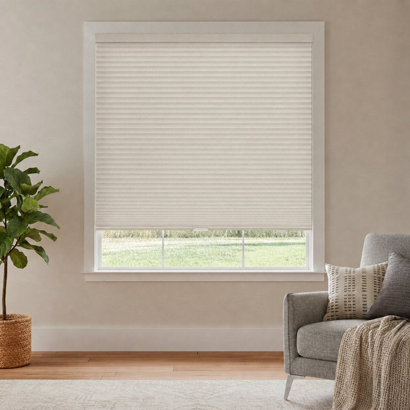 Store alvéolaire alvéolaire à double cellule sans cordon filtrant la lumière, L 50,75 po x H 72 po