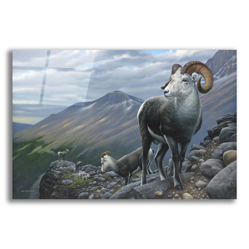 «Millations Stone Sheep» par Mark Mueller, art mural en verre acrylique, H 16 po x l 24 po x P 0,2 po