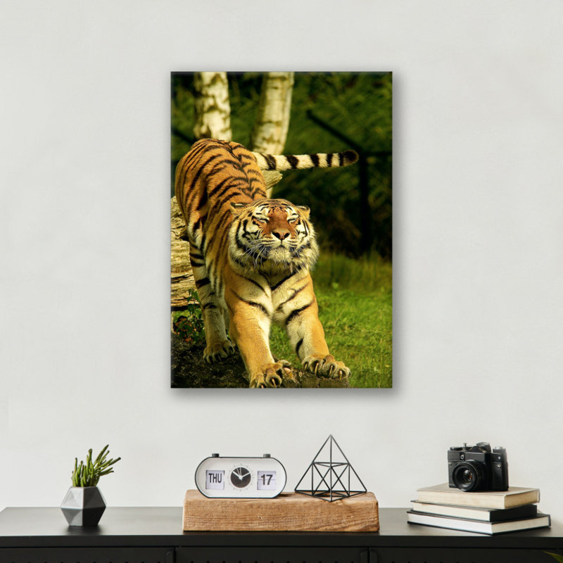 Stretching Tiger, reproduction d'art animalier, impression sur toile, impression de nature exotique, décoration murale pour animal sauvage