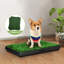 Dannyelle Dog Pee Turf