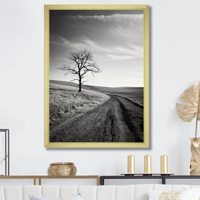 «Tree Lined Dreams I», reproduction sur toile