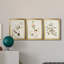 Pl. «194 Canadian Titmouse», ensemble de 3 reproductions d'art sur toile encadrées-1877724115-1877724126