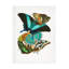 «Butterflies 5 on Canvas» par Pictufy, reproduction-784295304