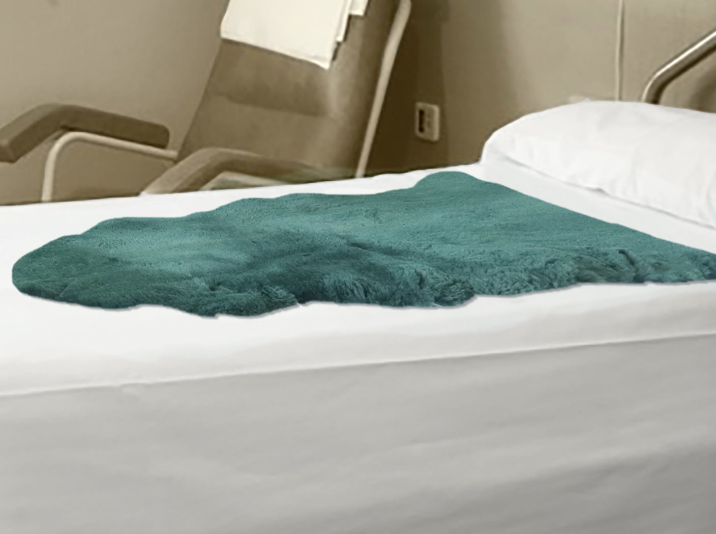 Ebern Designs Novelty Antoneyo Sheepskin 26