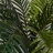 Thisbe Faux Palm Plant in Pot-15376258