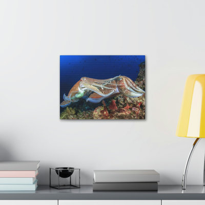 Cuttlefish Couple Mating Print Animal Wall Art