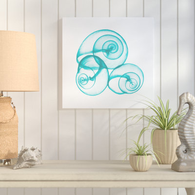 Turquoise Sky Snails - Wrapped Canvas Print