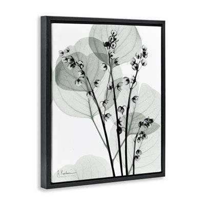 Cadre flottant Fresh Minimalist Herbs, design par Albert Koetsier