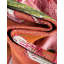 Tapis Bloom-794766781