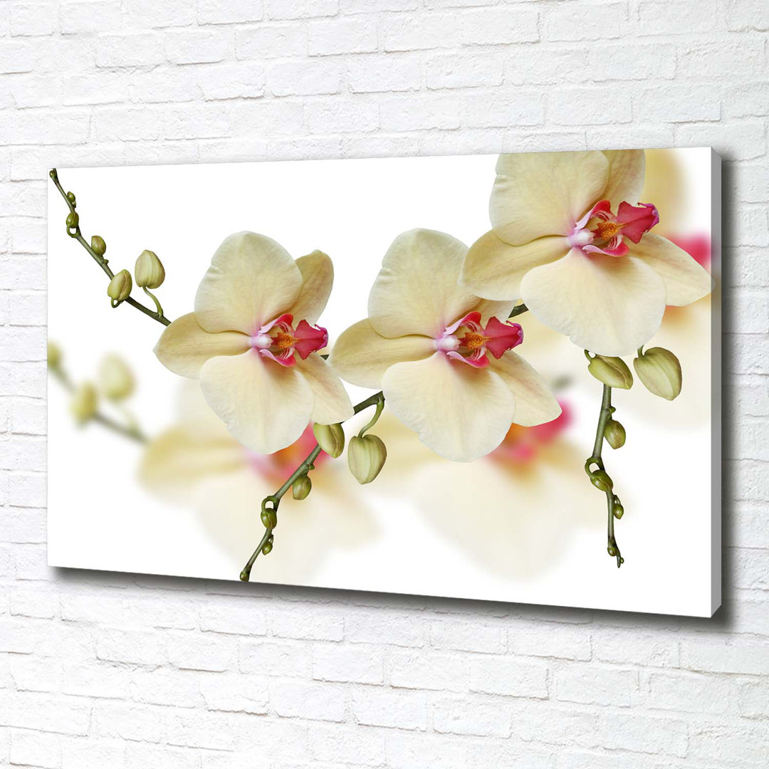 Orchidee - Kunstdrucke auf Leinwand - Wrapped Canvas