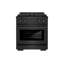 ZLINE Autograph 30 in. Paramount Dual Fuel Range w/ DuoPro Cooktop in Black Steel and Gold Accents-1329764277