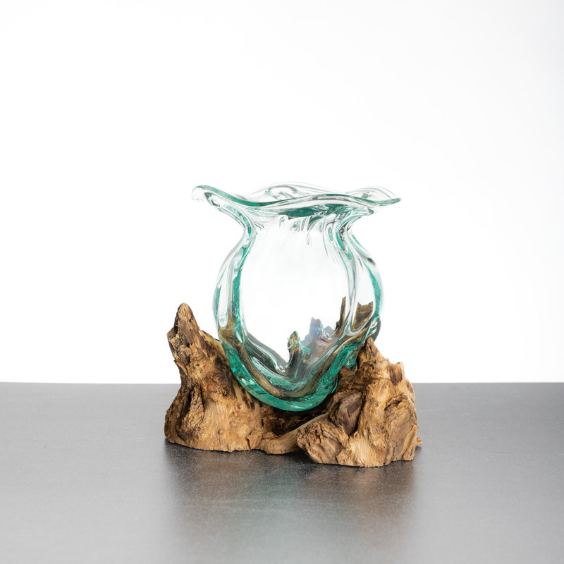 Terrarium de lotus