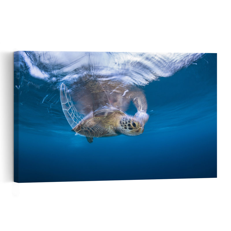 Peaceful Sea Turtle Swim Peaceful Serene Tranquil Turtle Nature Ocean Wall Art Print 1 Piece Wrapped Canvas Wall Art