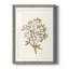 «Twig Study II», impression encadrée-1326240120-1326240121