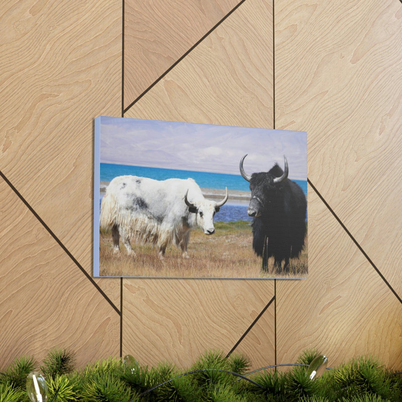 «Yak Couple Yak Couple», art mural animal, H 12 po x l 18 po