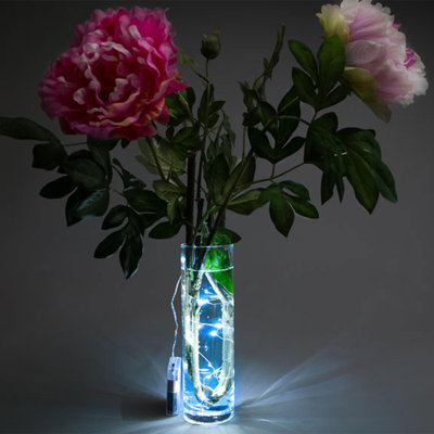 16cm LED Indoor / Outdoor String Lights