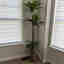 Photos des clients 1 de 1