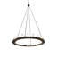 20 - Light Chandelier