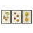 Persimmon II  -Custom Framed  Wrapped Gallery Canvas - 3 Pieces-1877726895-1877726894
