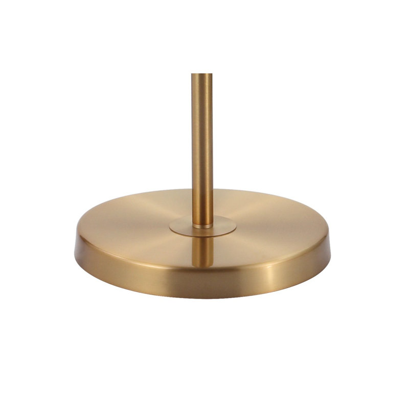 Waconia 60 " Novelty Floor Lamp, Brass Gold
