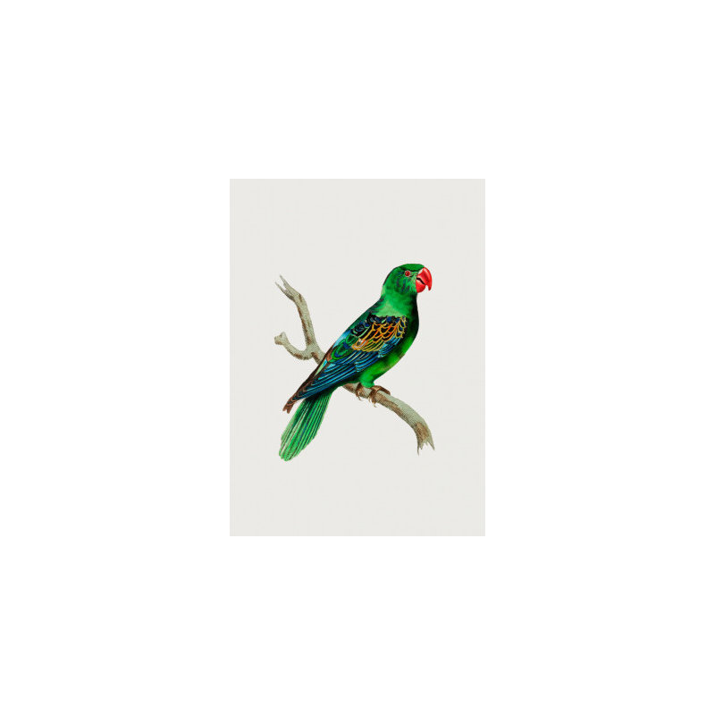 Wrapped Canvas Print, 91.44 cm H x 60.96 cm W
