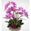 Real Touch Phalaenopsis Orchid Centerpiece in Glass Pot