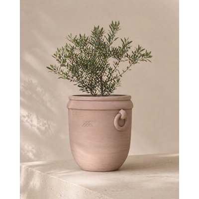 Oval Clay Planter