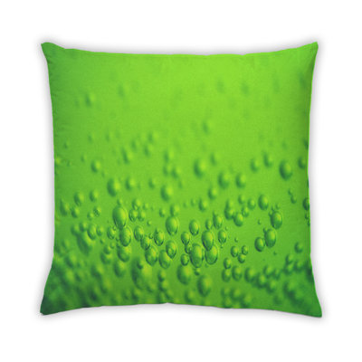 Coussin décoratif Color Focus Green 106