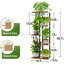 Support pour plante d'intérieur en métal pour coin, convient à plusieurs plantes, convient au salon, au balcon et au jardin-860591404