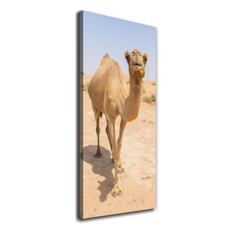 Camel In The Desert - Wrapped Canvas Print