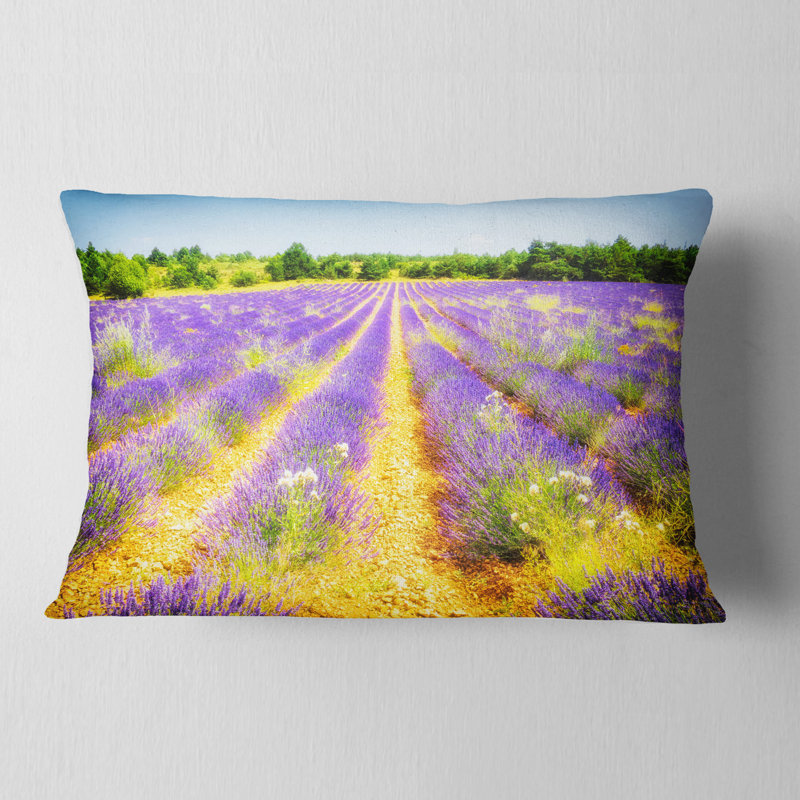 Coussin lombaire floral magnifique