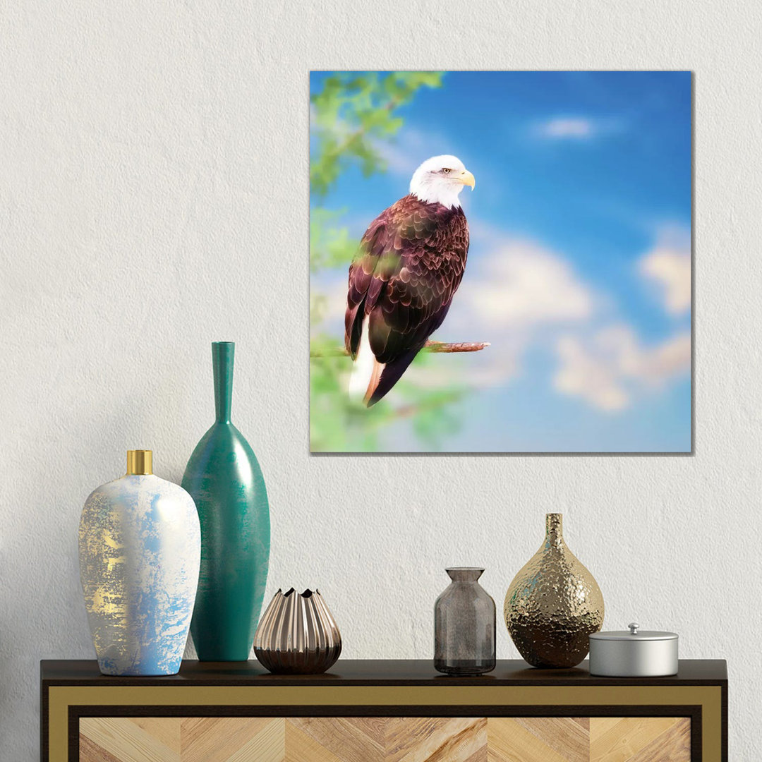 Amerikanischer Weißkopfseeadler auf einem Baum von Susan Richey - Galerie-verpackte Leinwand Giclée