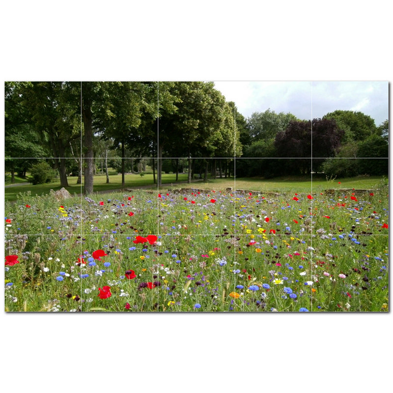Photo de printemps 8 x 8