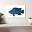 Poisson marin Brampt-106045954
