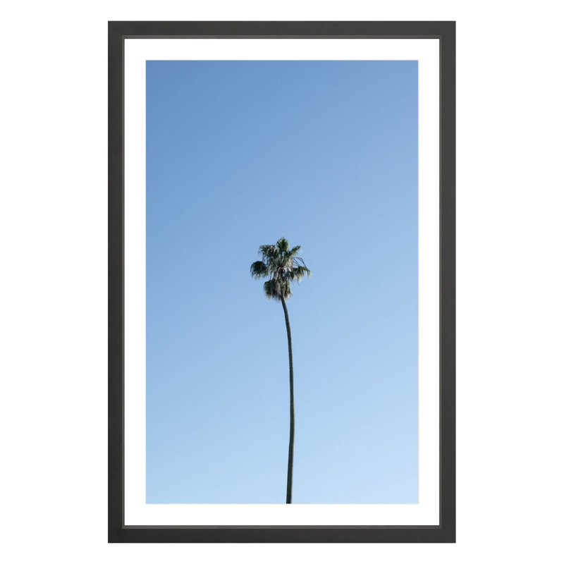 Plants & Flowers Print, Black, 36" H x 24" W x 1.88" D