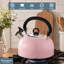 Buckingham Camping Whistling Kettle Stainless Steel with Heat-Resistant Handle 2.5 Litres-1644964773