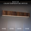 Kemberly 2 - Light LED Vanity Light-1050941651-1050941649
