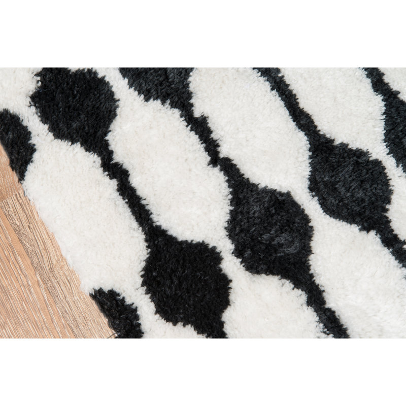 Black and Ivory Hand-Tufted Shag Area Rug 2' x 3'