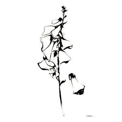 Encre Foxglove par Shirley Novak