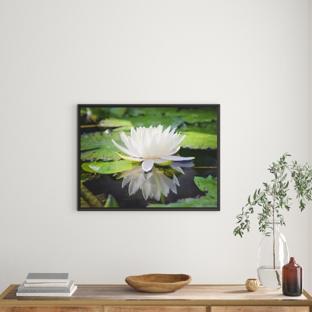 Gerahmter Grafikdruck White Lotus Flower in Water