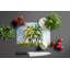 Planche à découper en verre Tropical Breeze
