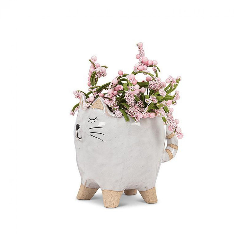 Chat blanc avec jardinière à queue rayée