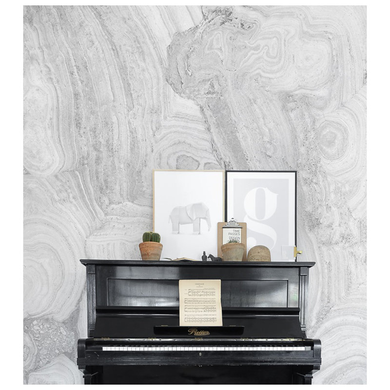 Antiona 2.5m x 2.5m Matte Peel & Stick Wall Mural, 250 x 250cm