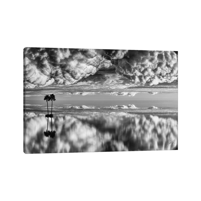 Palm on Cotton Wool 1 Piece Wrapped Canvas Wall Art, 20.32cm H x 30.48cm W x 1.91cm D