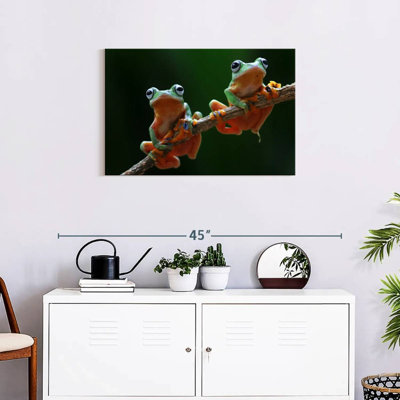Two Wallace's Flying Frogs